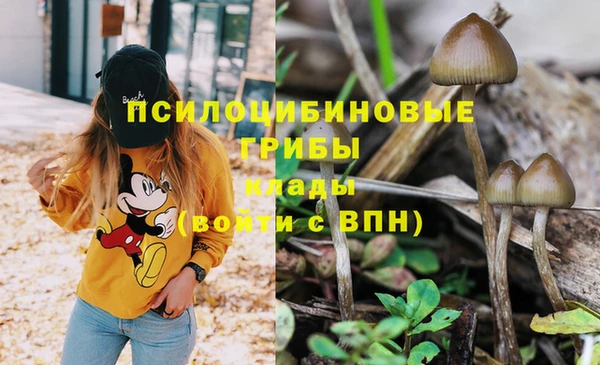 spice Бронницы