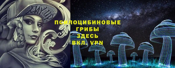 spice Бронницы