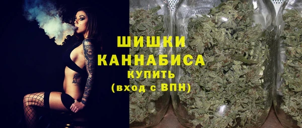 spice Бронницы
