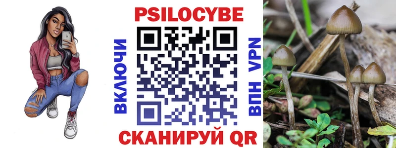 Купить где  Гатчина  Псилоцибиновые грибы мухоморы 